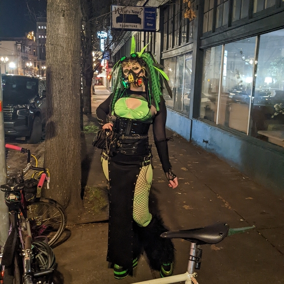 Meet your Posher, Ocha - Picture 2 of 2